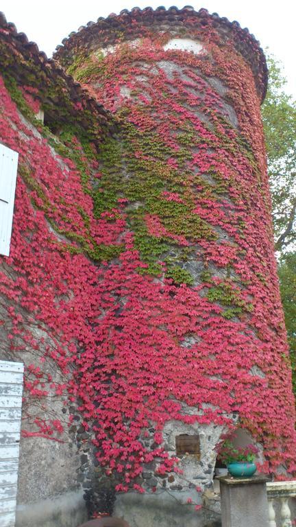 Chateau De Mauras Chomérac Eksteriør billede